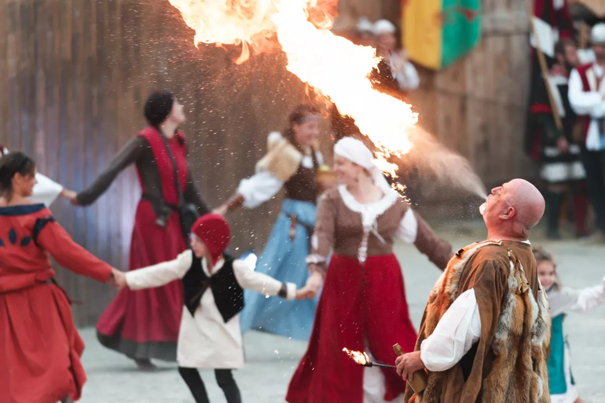Fête du Roi de l'Oiseau